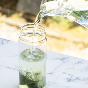 [New Arrival] Japanese Tea Lemon Green Tea Bags For Iced Tea 5g x 15 Bags