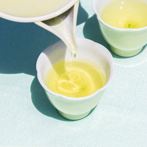 Japanese Tea Uji Shincha – Sencha 88 kin (50g Bag)